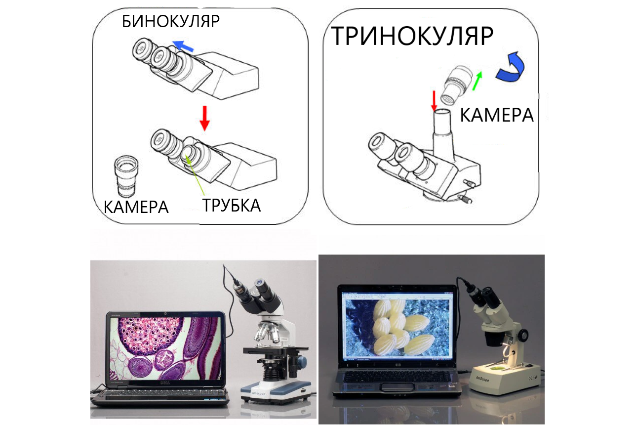 Цифровая окулярная камера AmScope MD200/MD200A c ПО для МПБ-3М В7 / 4XC /  4XB / ММП / SM500 — купить по выгодной цене | Восток-7