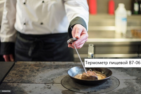 Термометр электронный пищевой В7-06 погружной (проникающий) с поворотным несъёмным датчиком штыревого исполнения и со встроенным магнитом с поверкой