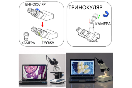 Цифровая окулярная камера AmScope MD200/MD200A c ПО для МПБ-3М В7 / 4XC / 4XB / ММП / SM500